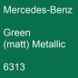 Preview: Mercedes-Benz, Green (matt) Metallic, 6313.